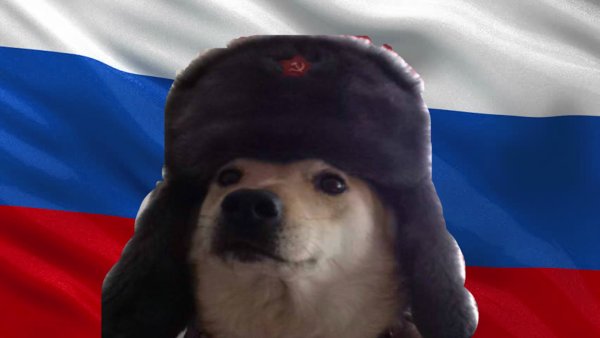 Собака с флагом России