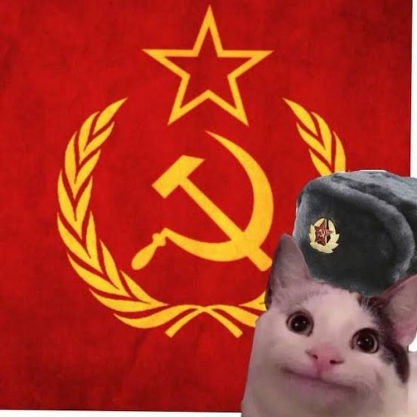 Кот СССР