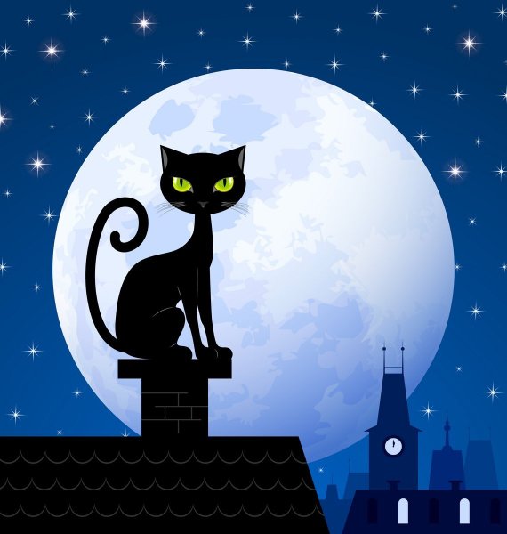 Коты на крыше ночью