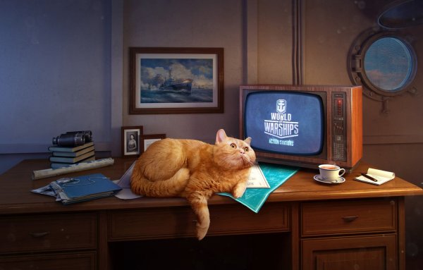 Котик и телевизор