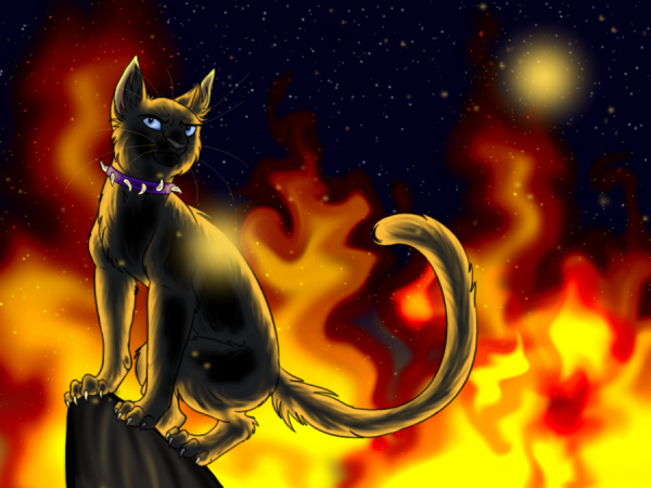 Коты Воители Бич в огне