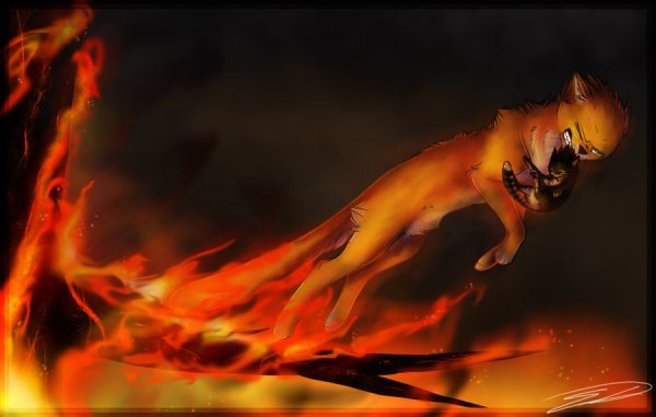 Коты Воители Огнезвёзд в огне