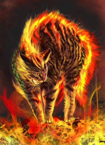 Огнезвёзд коты Воители арт