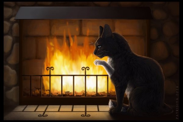 Кот на фоне огня арт