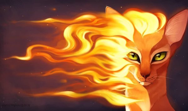 Коты Воители Огнезвёзд