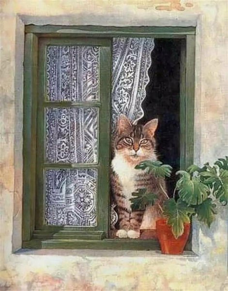 Кот на фоне окна
