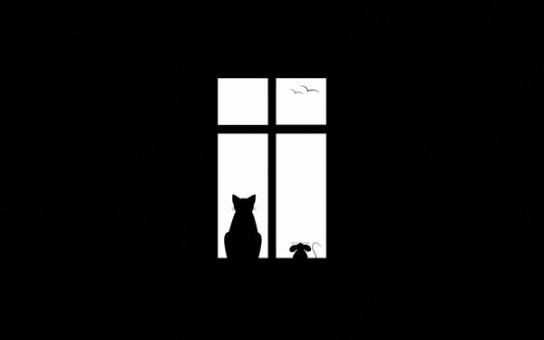 Силуэт кошки на окне