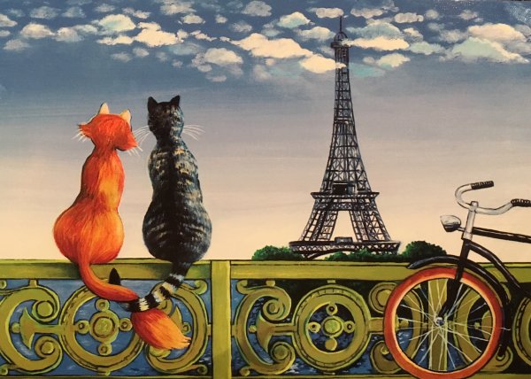 Котик в Париже