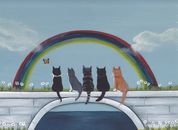 Коты на радуге
