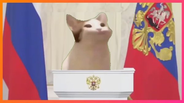 Котик на фоне России