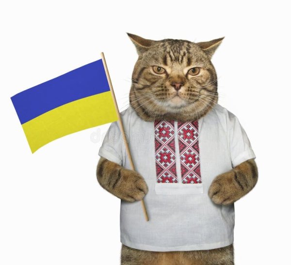 Кот с украинским флагом