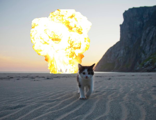 Котик на фоне взрыва