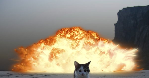 Котенок взрыв
