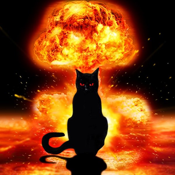 Котик на фоне взрыва