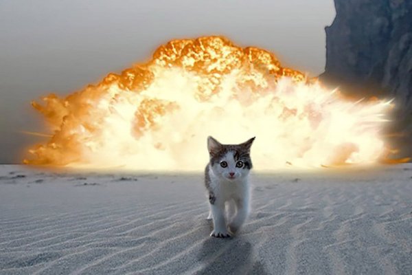 Котик взрыв
