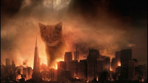 Кот рушит город