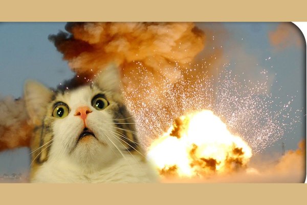 Кот и атомный взрыв