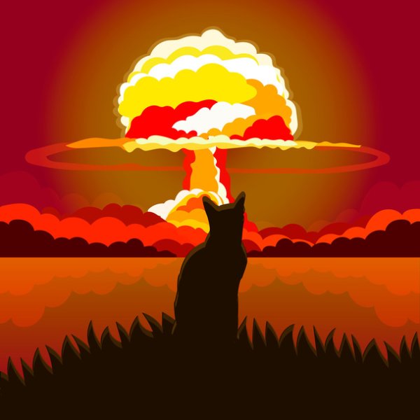 Котик и ядерный взрыв