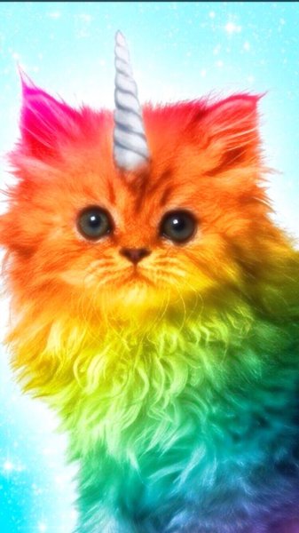 Цветные котята