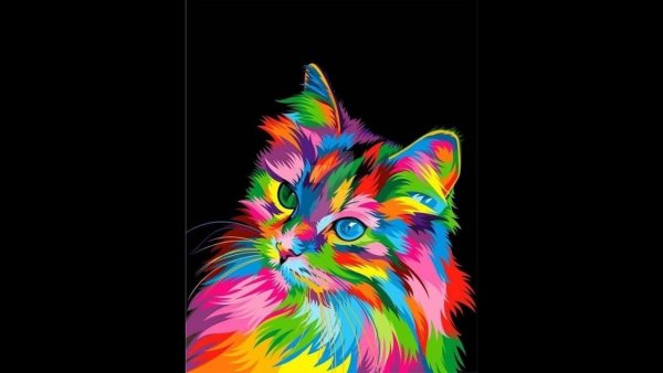 Разноцветные коты