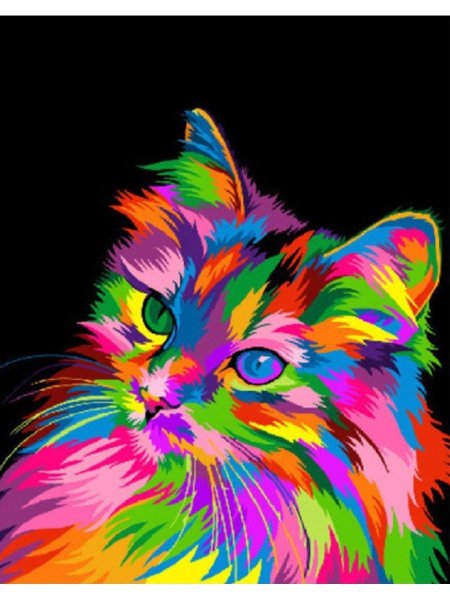 Разноцветная кошка