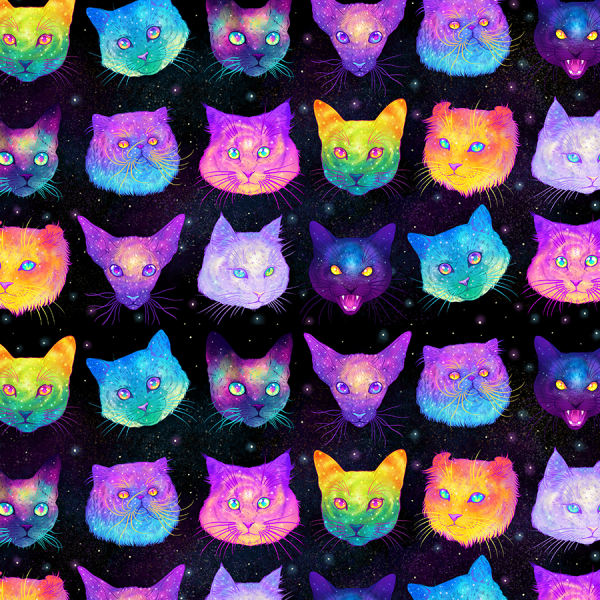 Разноцветная кошка