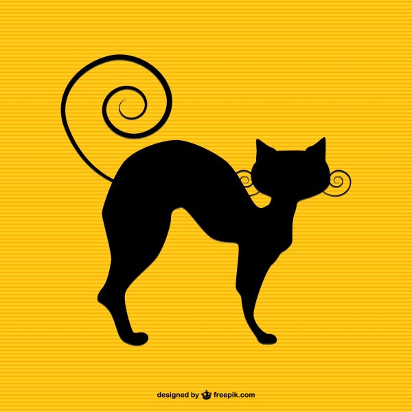 Коты на желтом фоне