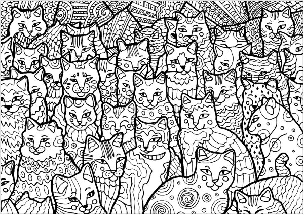 Раскраска много котиков