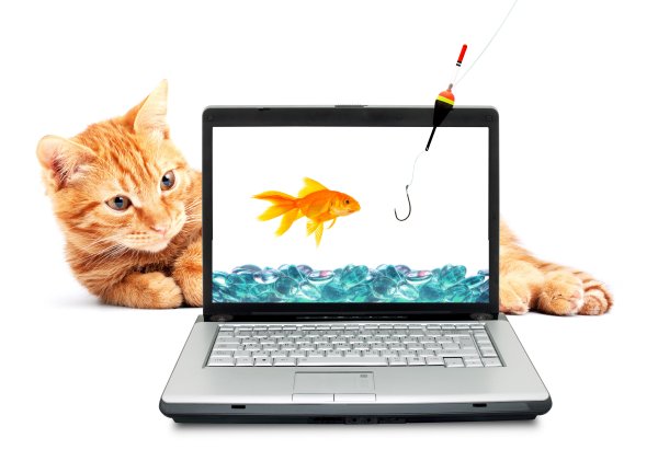 Кошка и компьютер