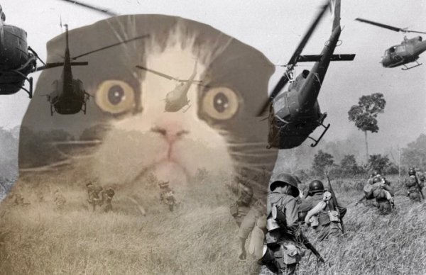 Вьетнам война флешбеки