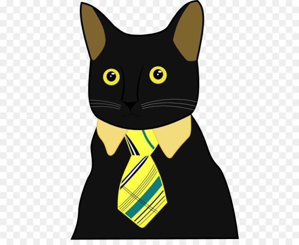 Котик в галстуке