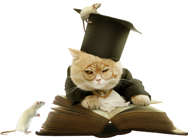 Кот ученый с книжкой