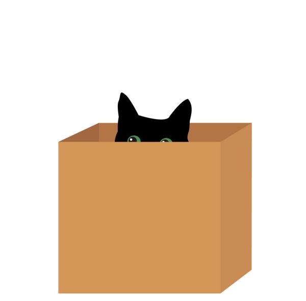 Черный кот в коробке