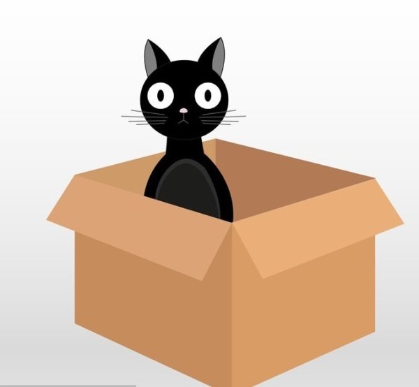 Чёрный кот в коробочке