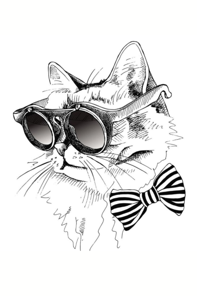 Крутые коты в очках