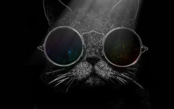 Кот в очках на черном фоне
