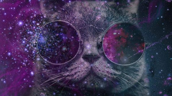 Кот на фоне космоса