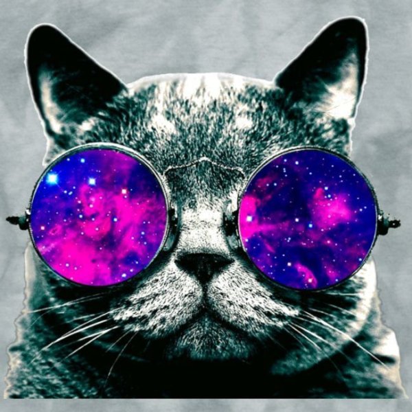 Котик в очках космос