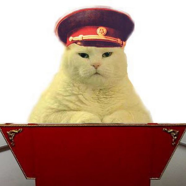 Кот в шапке ушанке на фоне флага ссср