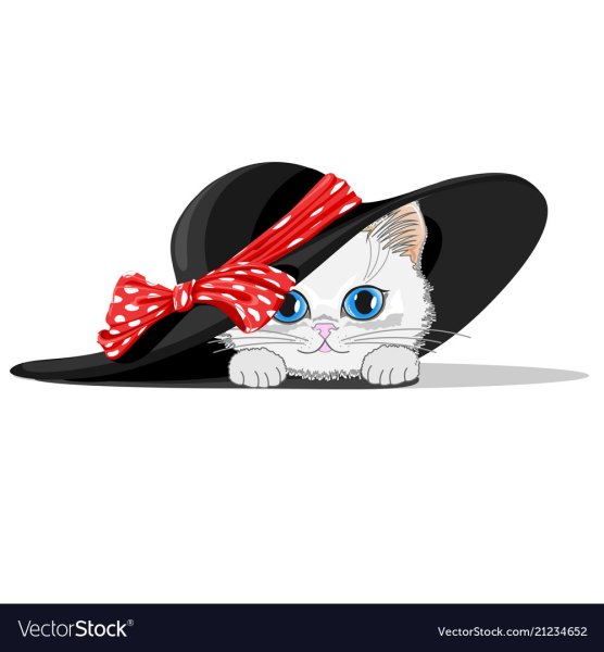 Кошка под шляпой