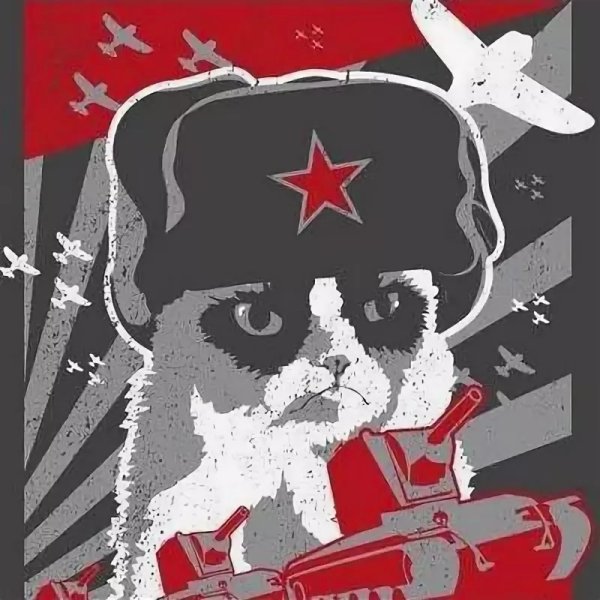 Кот в ушанке СССР