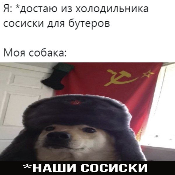 Кот коммунист в шапке