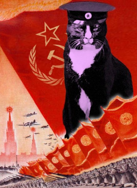 Кот коммунист