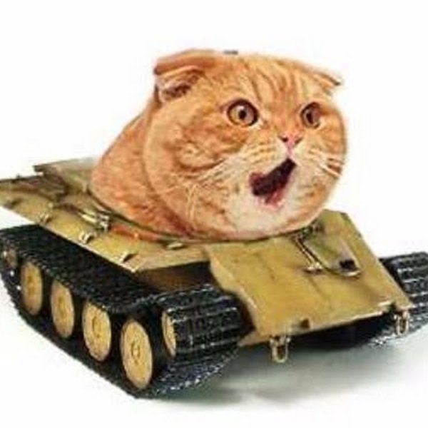 Кототанк танковая дичь