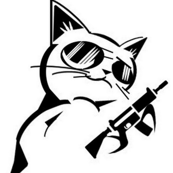 Кот с пистолетом