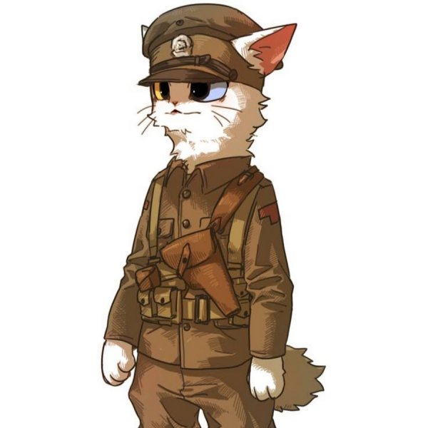 Кот военный арт
