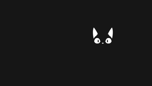 Коты на черном фоне арт