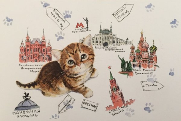 Коты на фоне москвы