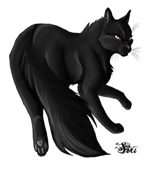 Коты Воители чёрная звезда