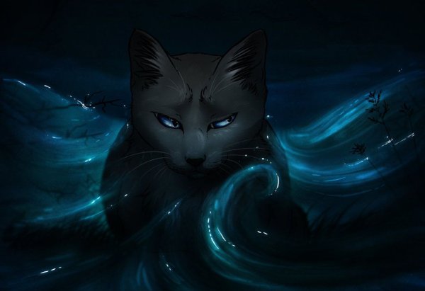 Коты Воители чёрная кошка с голубыми глазами